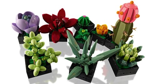 LEGO 10309 Creator Sukulenty LEGO 10309 Creator Sukulenty