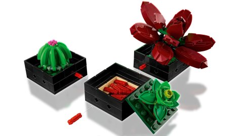 LEGO 10309 Creator Sukulenty LEGO 10309 Creator Sukulenty